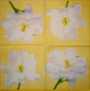 029 Rosen - 3-lagig (blau)